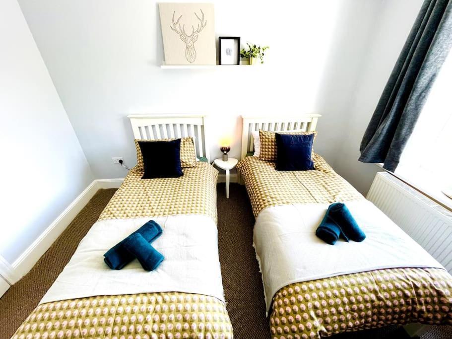 Rookley Villa, 3 Bedroom Family Apartment, Ventnor Exteriör bild